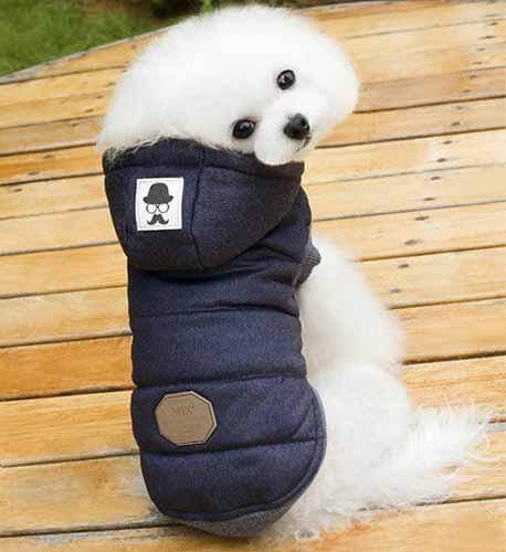 Cute Winter Pet Coat for Cat and Dogs - MaviGadget