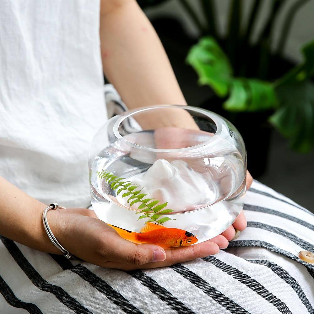 Creative Transparent Snow Mountain Fish Aquariums - MaviGadget