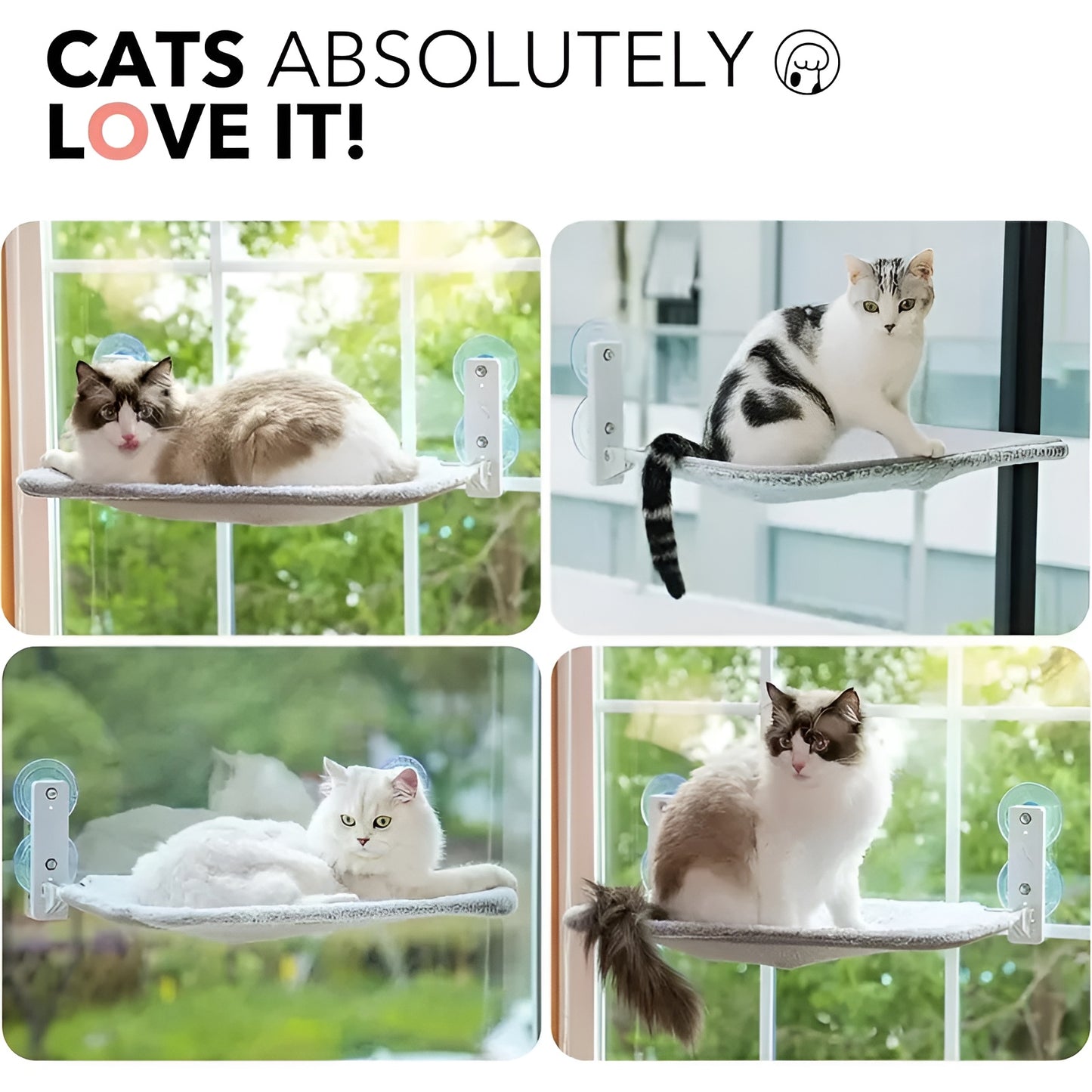 Window Side Foldable Comfy Cat Bed