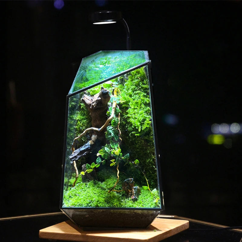 Modern Geometric Nature-Inspired Botanical Terrarium