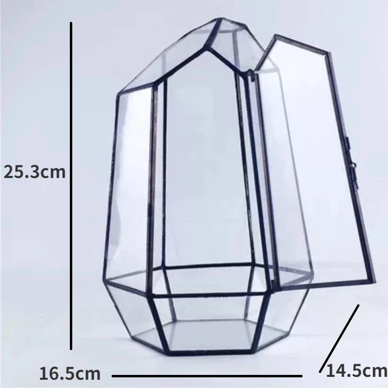Modern Geometric Nature-Inspired Botanical Terrarium