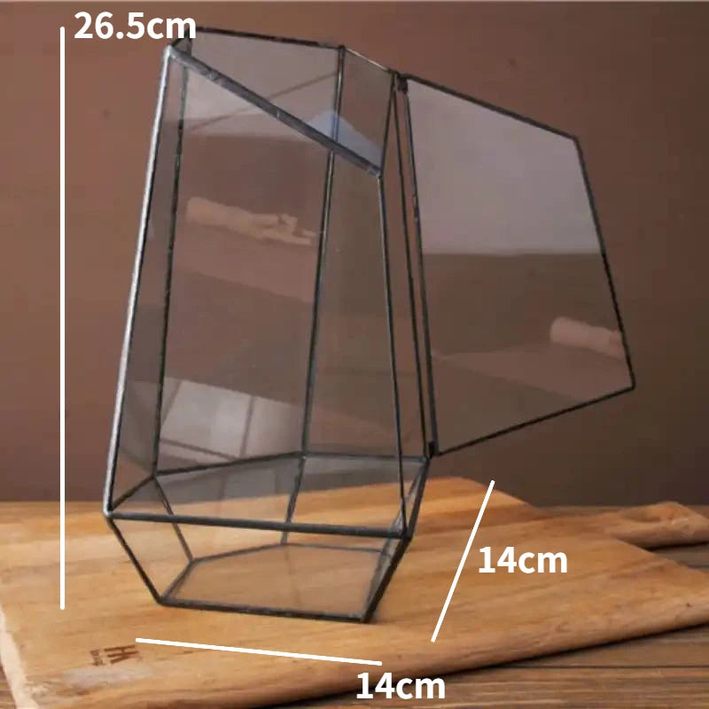 Modern Geometric Nature-Inspired Botanical Terrarium