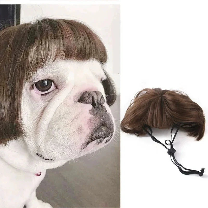 Auntie Style Funny Pet Wig