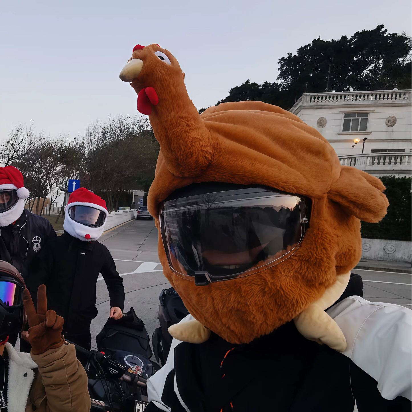 Fluffy Animals Funny Helmet Covers