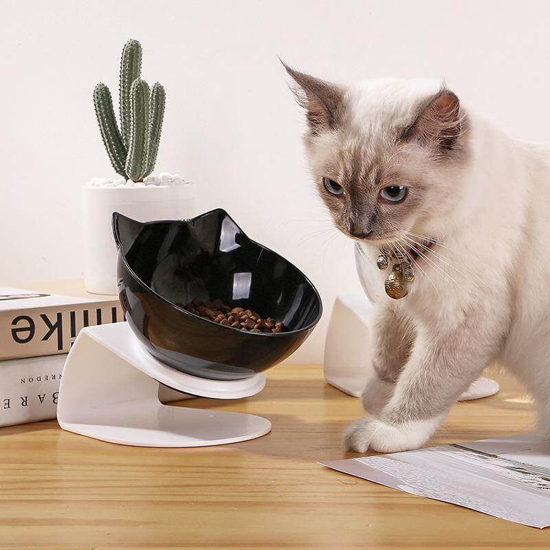Non-Slip Pet Easy Feeder Bowl - MaviGadget