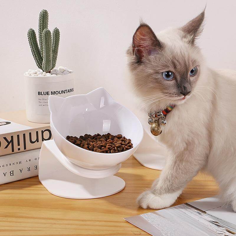 Non-Slip Pet Easy Feeder Bowl - MaviGadget