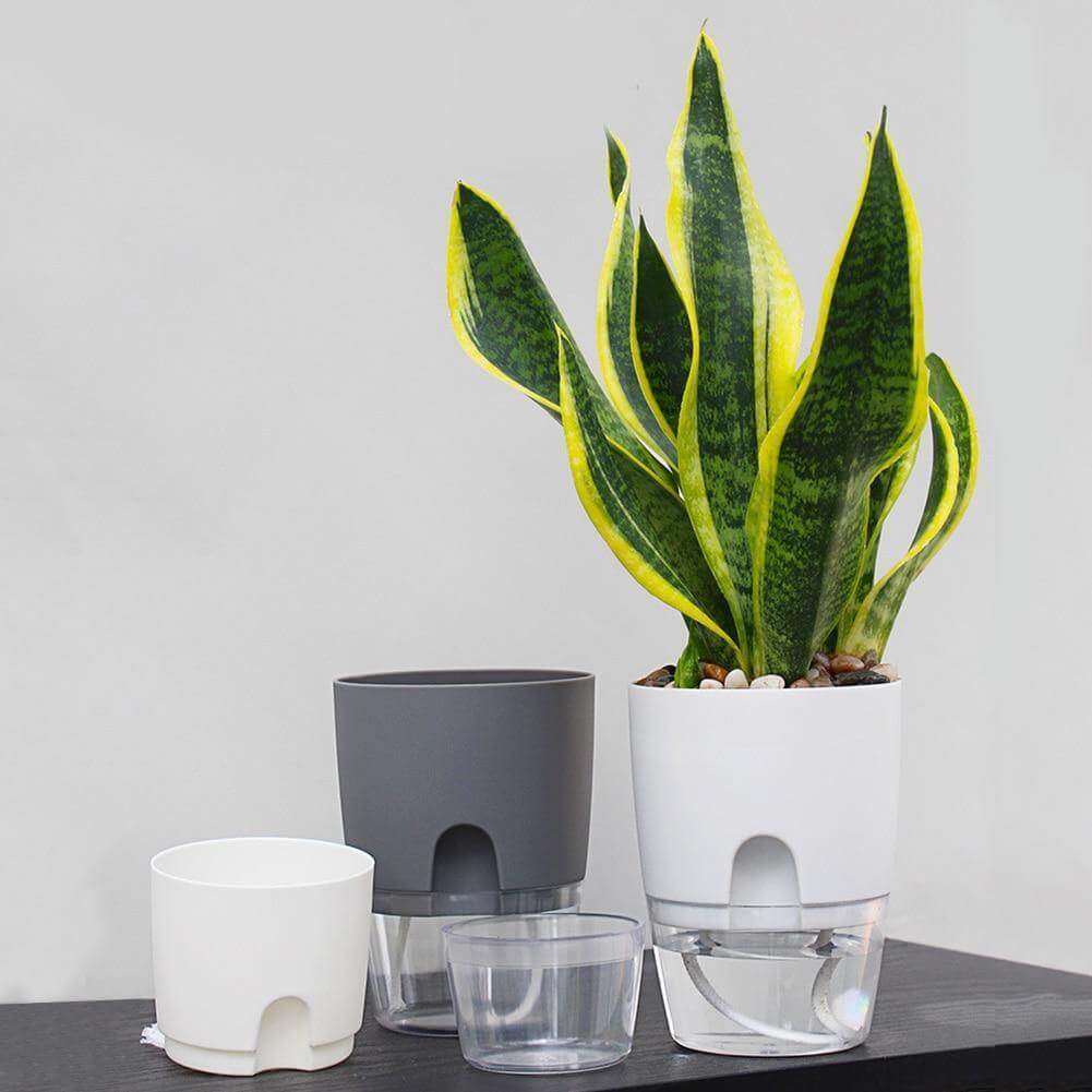 Self-watering Plant Pot with Water Container - MaviGadget