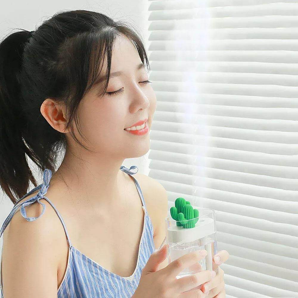 Ultrasonic Cactus Air Humidifier - MaviGadget