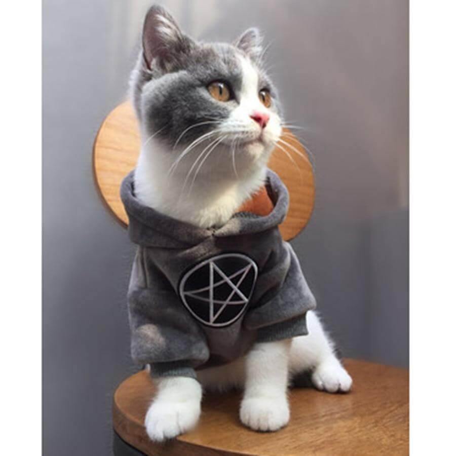 Pet Fashion Hoodie - MaviGadget