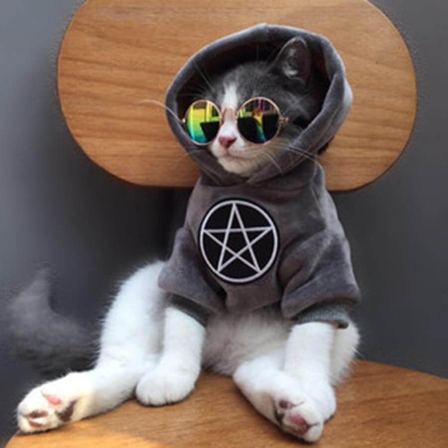 Pet Fashion Hoodie - MaviGadget