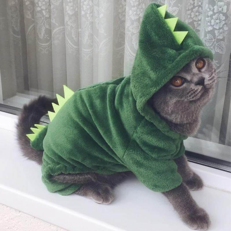 Dinosaur Funny Pet Costume - MaviGadget