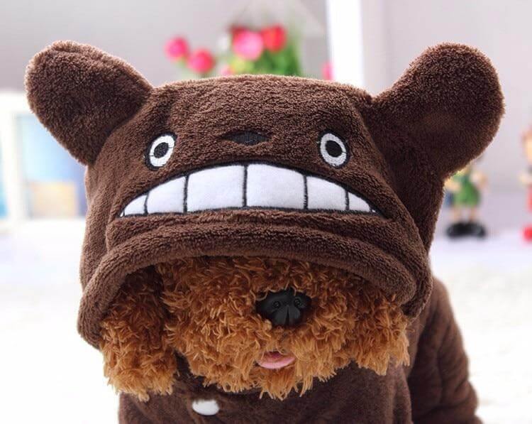 Dinosaur Funny Pet Costume - MaviGadget