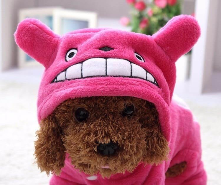 Dinosaur Funny Pet Costume - MaviGadget