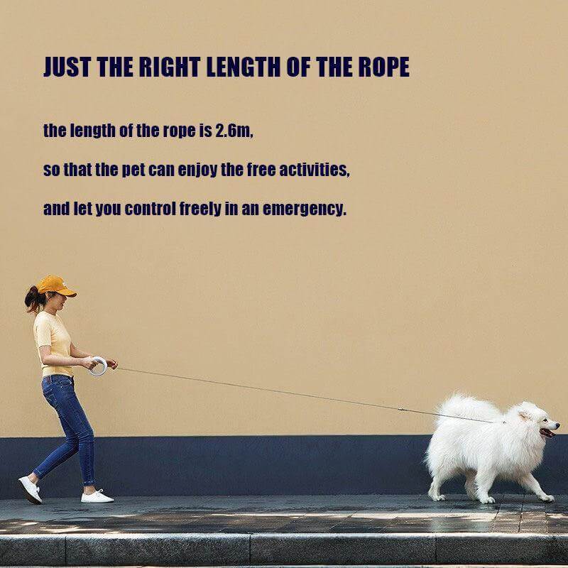 Retractable LED Leash Ring Collar - MaviGadget