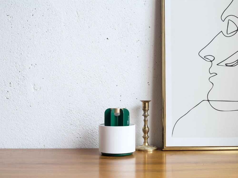Modern Portable Cactus Mosquito Killer Lamp - MaviGadget