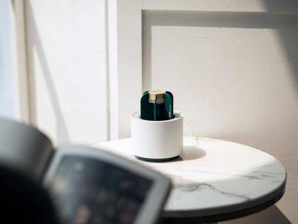 Modern Portable Cactus Mosquito Killer Lamp - MaviGadget