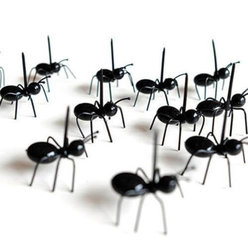 12Pcs Ants Food Fruit Holder - MaviGadget