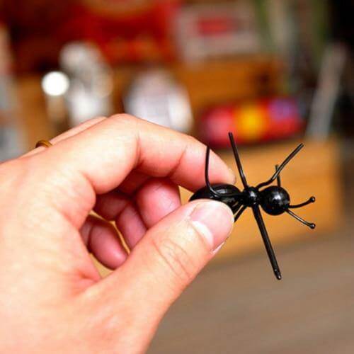 12Pcs Ants Food Fruit Holder - MaviGadget