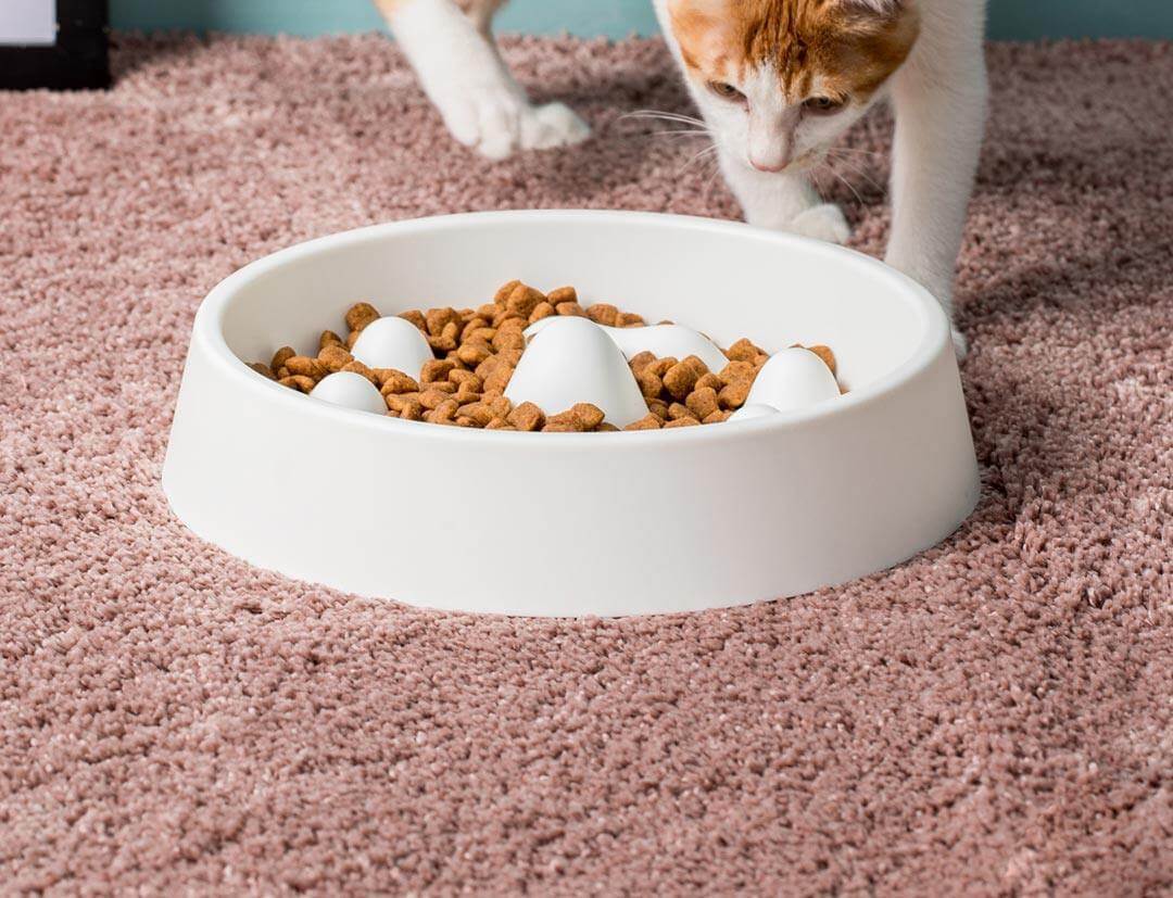 Modern Pet Slow Food Bowl - MaviGadget