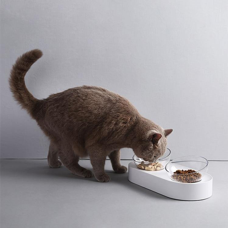 Adjustable Double Pet Feeder - MaviGadget