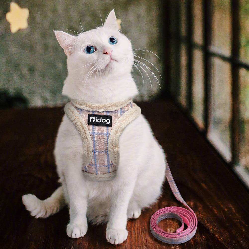 Sweet Warm Fur Pet Walking Leash - MaviGadget