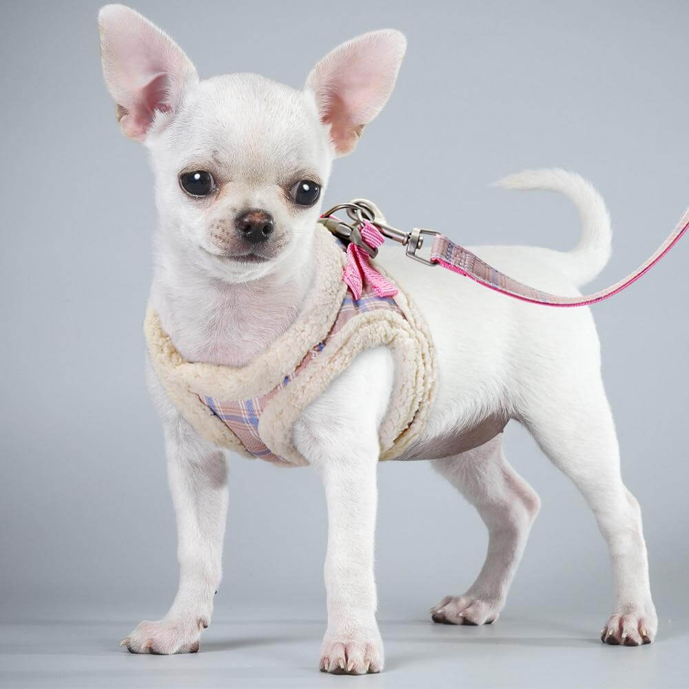 Sweet Warm Fur Pet Walking Leash - MaviGadget