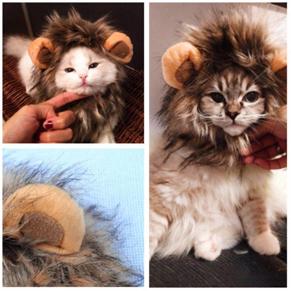 Lion Cat Wig - MaviGadget