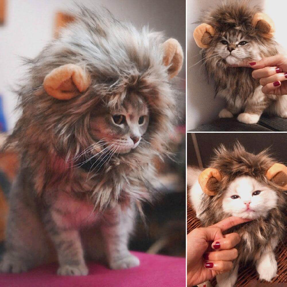 Lion Cat Wig - MaviGadget