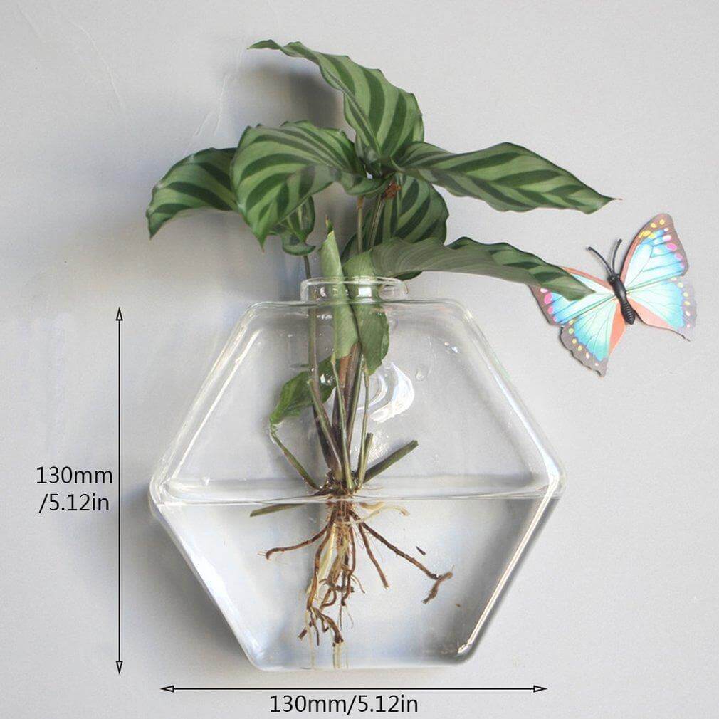 Wall Hanging Hydroponic Glass Vases - MaviGadget