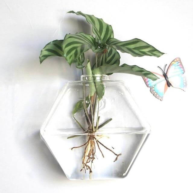 Wall Hanging Hydroponic Glass Vases - MaviGadget