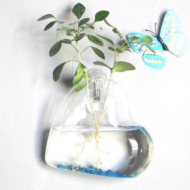 Wall Hanging Hydroponic Glass Vases - MaviGadget