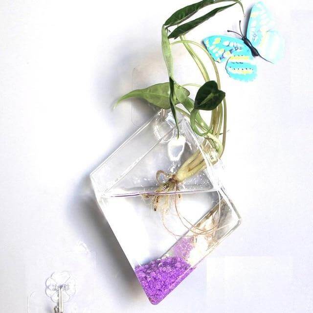Wall Hanging Hydroponic Glass Vases - MaviGadget
