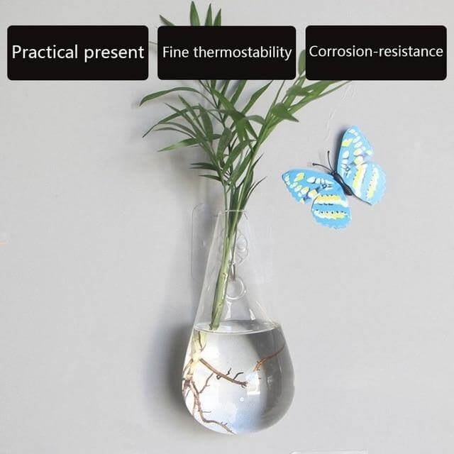 Wall Hanging Hydroponic Glass Vases - MaviGadget