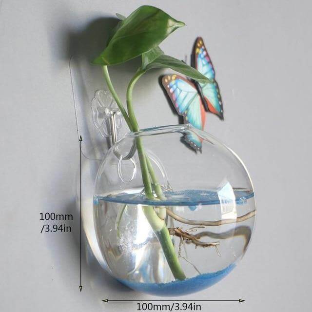 Wall Hanging Hydroponic Glass Vases - MaviGadget