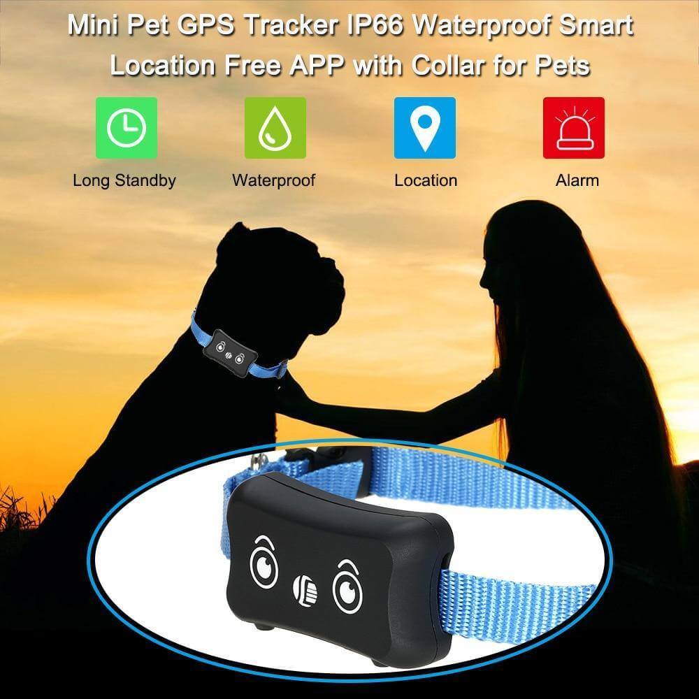 Waterproof GPS Pet Tracking Collar - MaviGadget