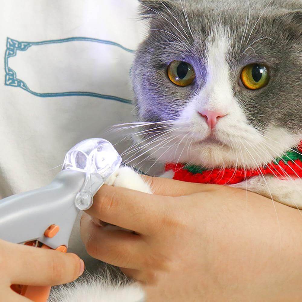 Professional Pet LED Nail Trimmer - MaviGadget