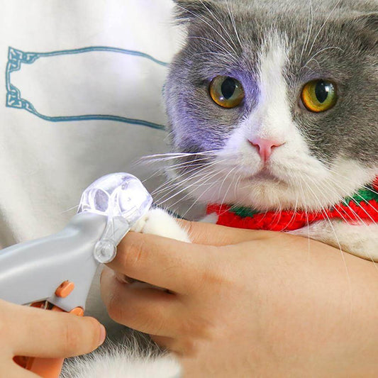 Professional Pet LED Nail Trimmer - MaviGadget