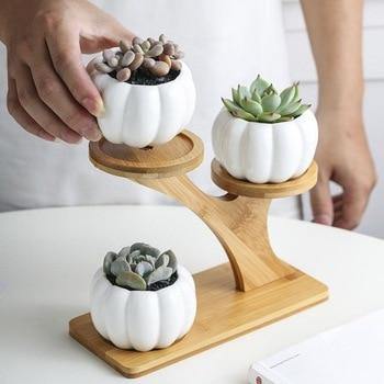 3 Tier Succulent Bamboo Vase Stand - MaviGadget