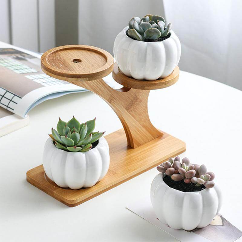 3 Tier Succulent Bamboo Vase Stand - MaviGadget