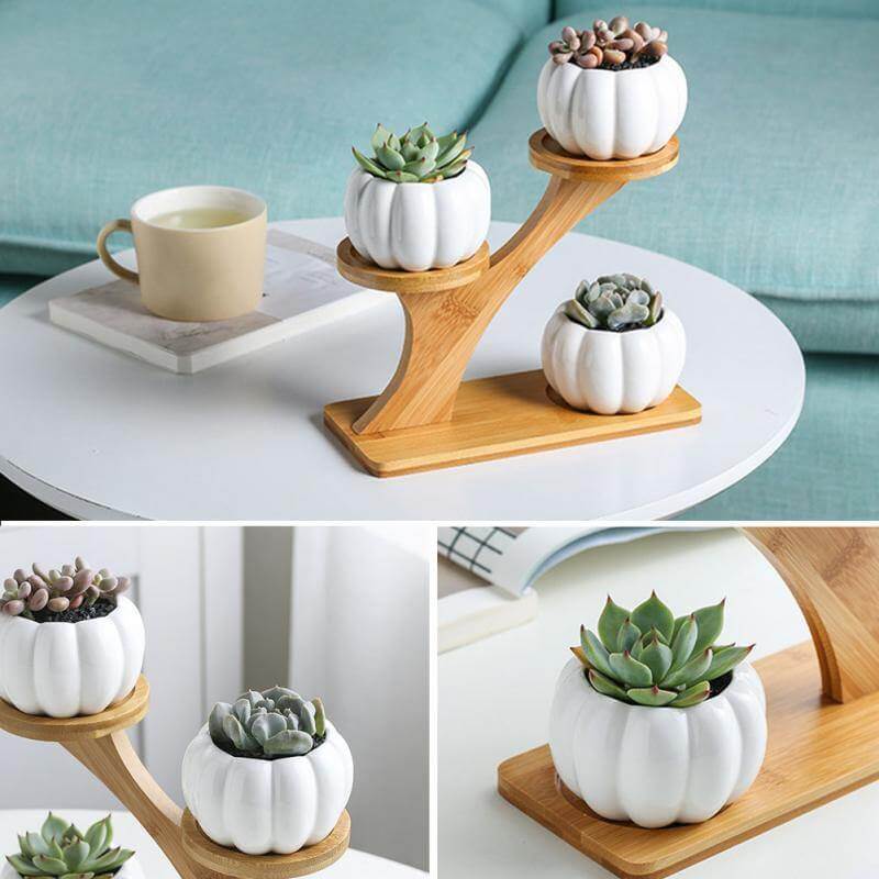 3 Tier Succulent Bamboo Vase Stand - MaviGadget