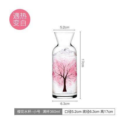 Clementine Glass Cooling Water Bottle - MaviGadget