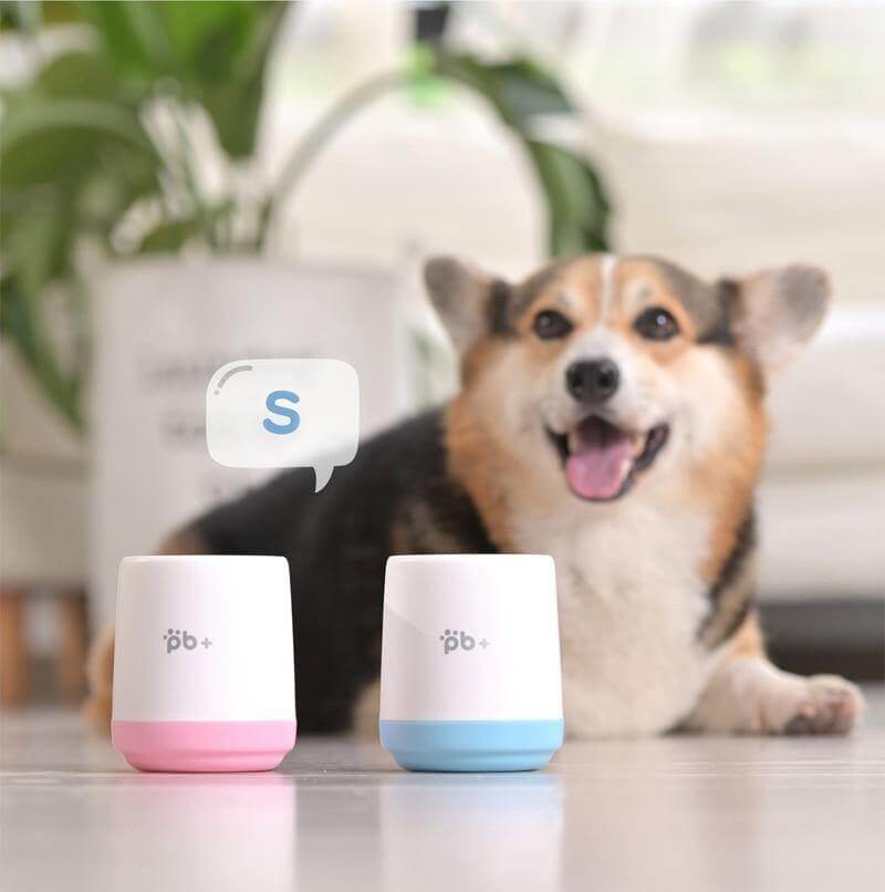 Portable Easy Pet Foot Washer - MaviGadget