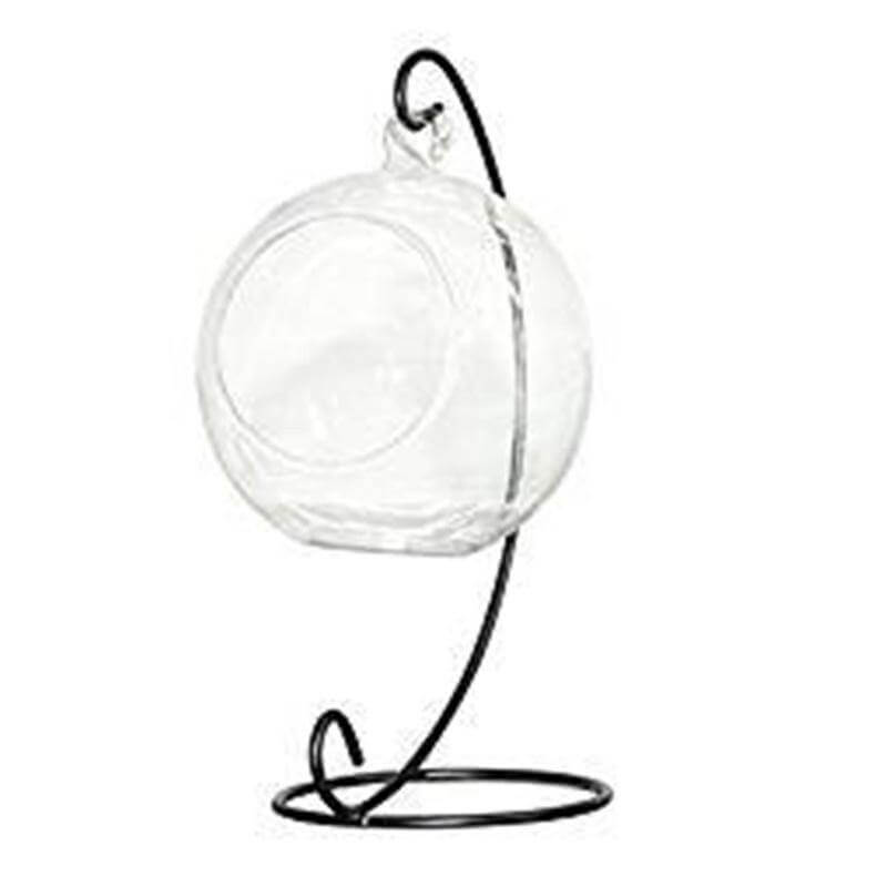 Creative Clear Glass Ball Vase - MaviGadget