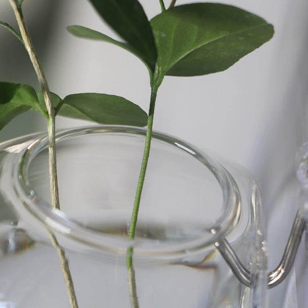 Wall Hanging Hydroponic Glass Vases - MaviGadget