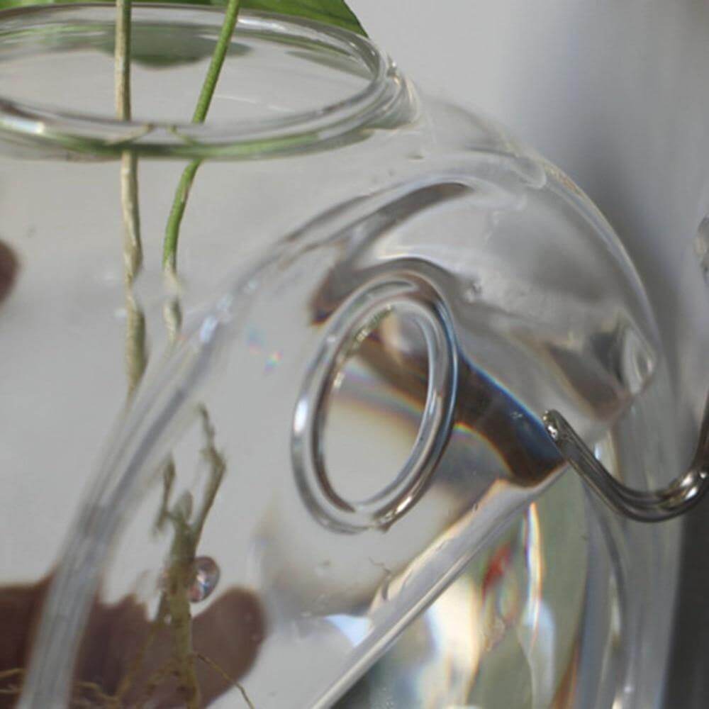Wall Hanging Hydroponic Glass Vases - MaviGadget