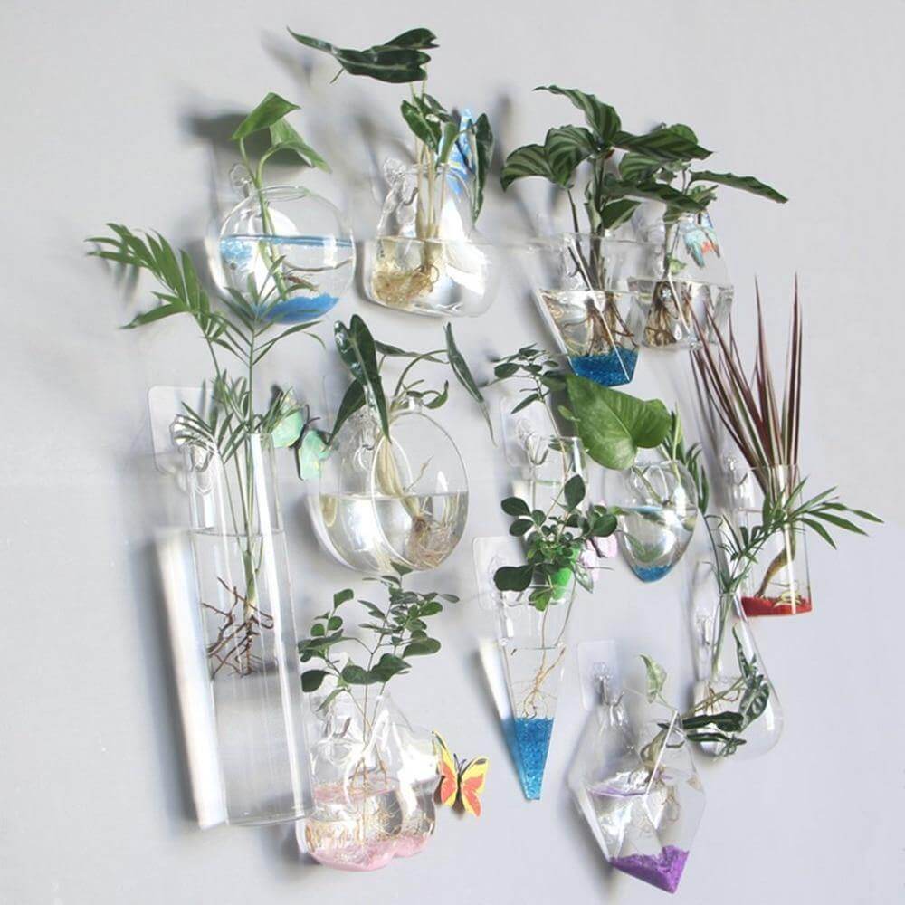 Wall Hanging Hydroponic Glass Vases - MaviGadget