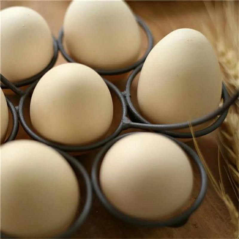 Creative Chicken Eggs Basket - MaviGadget