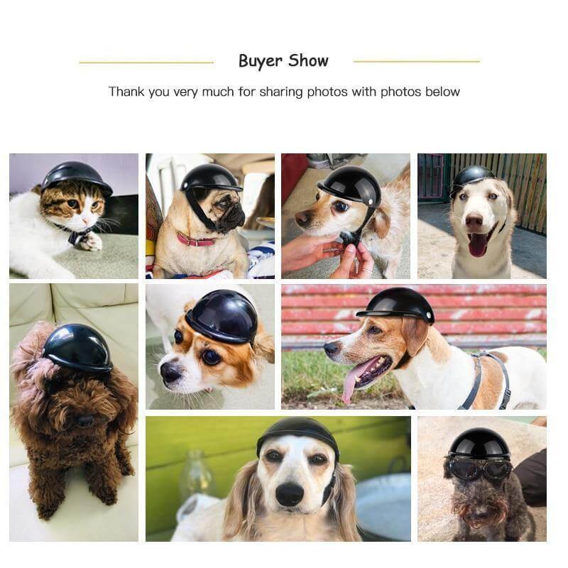Cool Pet Fashion Helmet & Riding Cap - MaviGadget