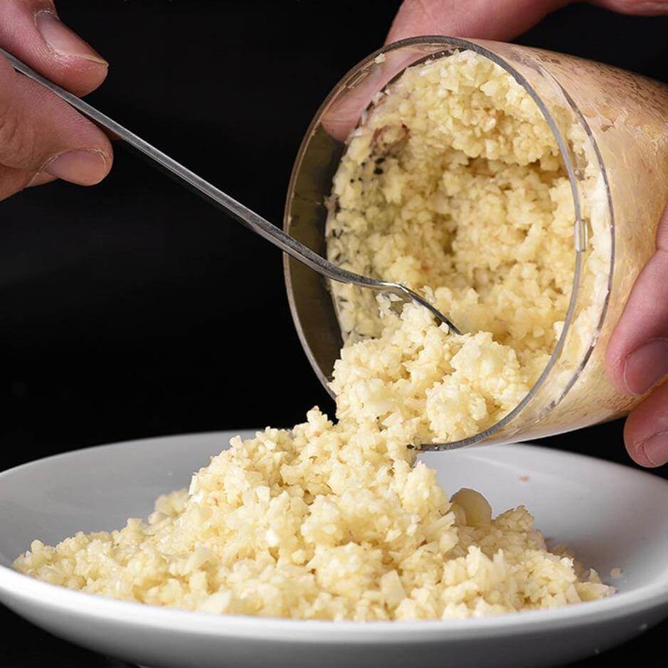 Stainless Steel Quick Garlic Vegetable Chopper - MaviGadget