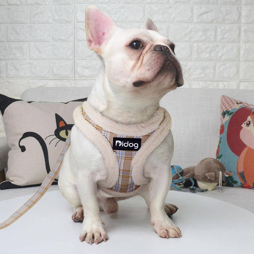 Sweet Warm Fur Pet Walking Leash - MaviGadget